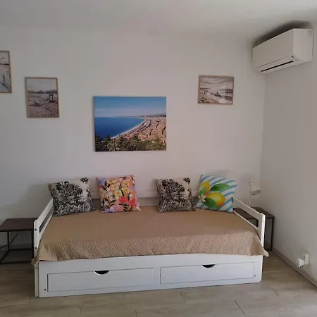 Apartament Jolie Climatise Avec Piscine Antibes